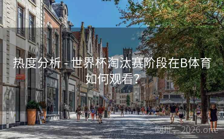 热度分析 - 世界杯淘汰赛阶段在B体育如何观看？