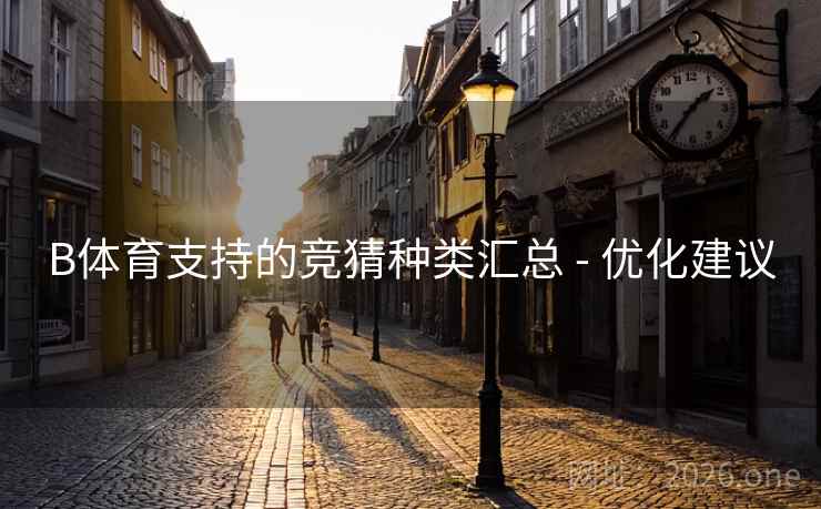 B体育支持的竞猜种类汇总 - 优化建议