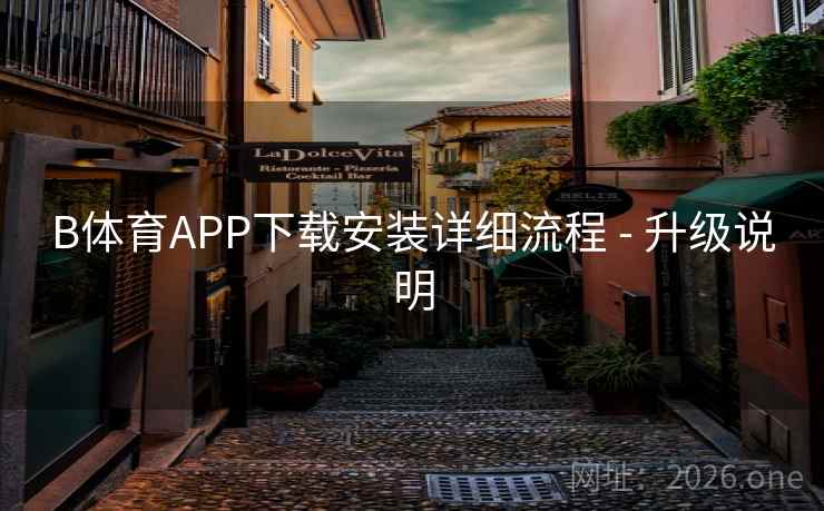B体育APP下载安装详细流程 - 升级说明