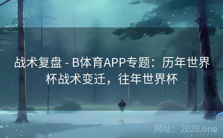 战术复盘 - B体育APP专题：历年世界杯战术变迁，往年世界杯