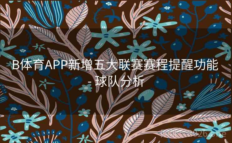 B体育APP新增五大联赛赛程提醒功能 - 球队分析