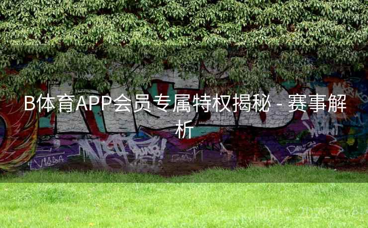 B体育APP会员专属特权揭秘 - 赛事解析