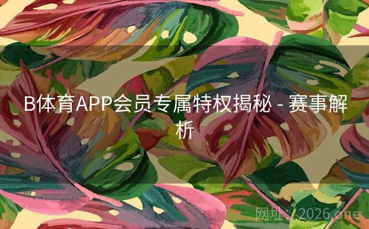 B体育APP会员专属特权揭秘 - 赛事解析