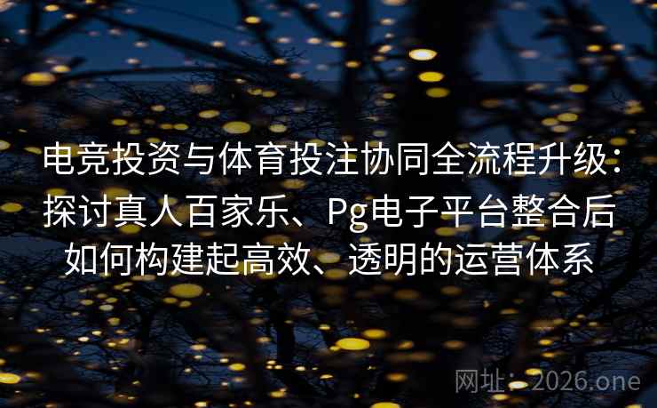 电竞投资与体育投注协同全流程升级：探讨真人百家乐、Pg电子平台整合后如何构建起高效、透明的运营体系