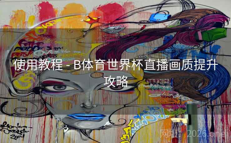 使用教程 - B体育世界杯直播画质提升攻略