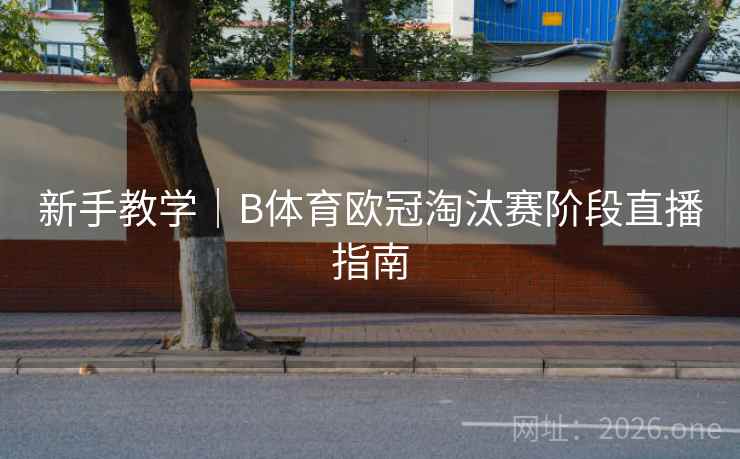 新手教学｜B体育欧冠淘汰赛阶段直播指南